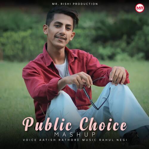 Public Choice Mashup