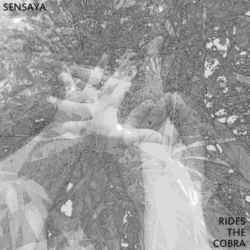 Rides the Cobra cover art