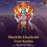Shattila Ekadashi Vrat Katha artwork