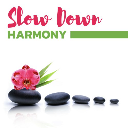 Zen Hui Bian Zhe Yang cover art