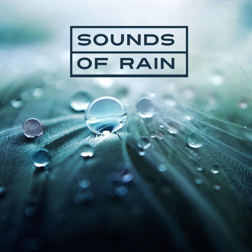 Sounds of Rain – Relaxing Music, New Age Sounds, Water Waves, Rainfall Sounds