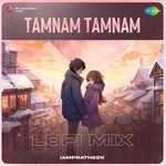 Tamnam Tamnam - Lofi Mix