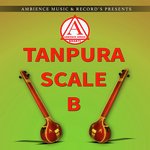 Tanpura B Scale (Taanpura)