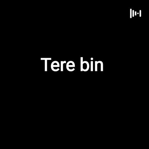 Tere bin