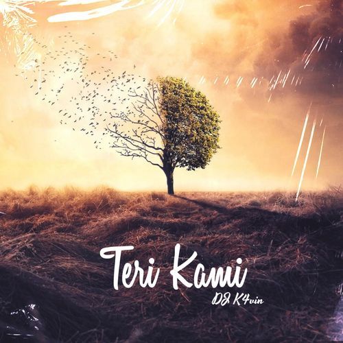 Teri Kami