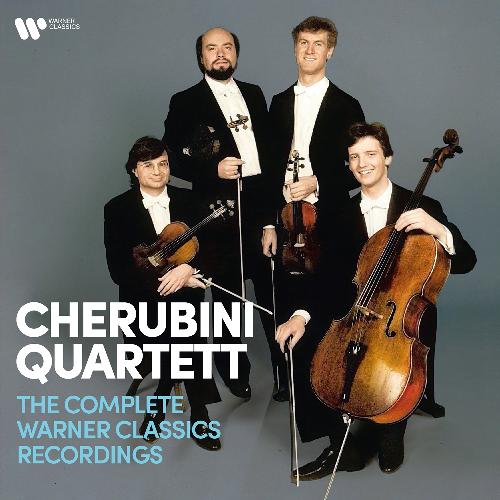 Serenade in D Minor, Op. 44, B. 77: II. Minuetto