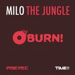 Jungle of Mirror