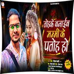 Tohake Banaib Mammi Ke Patoh Ho