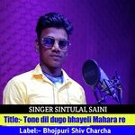 Tone dil dugo bhayeli Mahara re (Rajasthani)