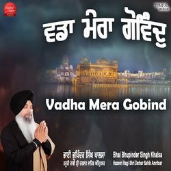 Vadha Mera Govind-AAQfWBllWFI