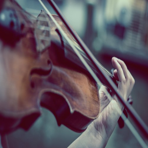 Violintly Rage