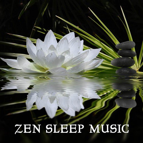 Zen Sleep Music