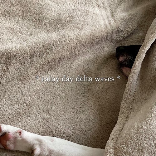 White Noise Machine Sleep Aid And Soft Rain Sounds