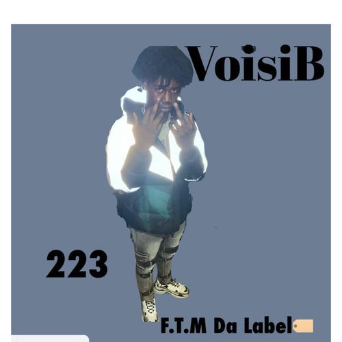 223 cover art
