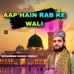 Aap Hain Rab Ke Wali