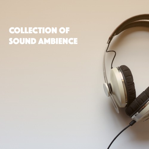 Collection of Sound Ambience