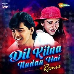 Dil Kitna Nadan Hai - Remix-FBlTRCNeT3o