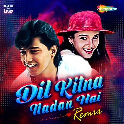 Dil Kitna Nadan Hai - Remix