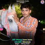 Dil Mang Jano Jano (Ankit Meena) artwork