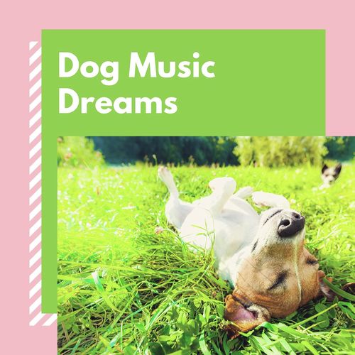 Dog Music Dreams: Soothing Music for Your Puppy_poster_image