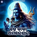 Hey Baba Amareswara artwork