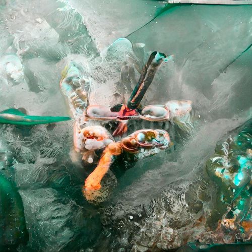 Mogli (Julian Bainbridge Remix) cover art