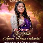 Je Chhilo Amar Shoponocharini (From &quot;Folk O Rabindra&quot;)