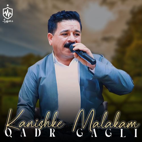 Bmshela cover art