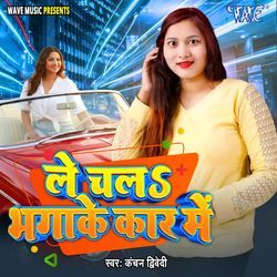 Le Chala Bhaga Ke Car Me