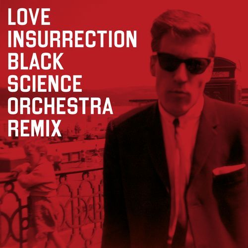 Love Insurrection (Black Science Orchestra Remix)_poster_image