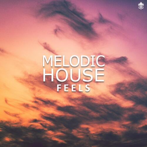 Melodic House Feels