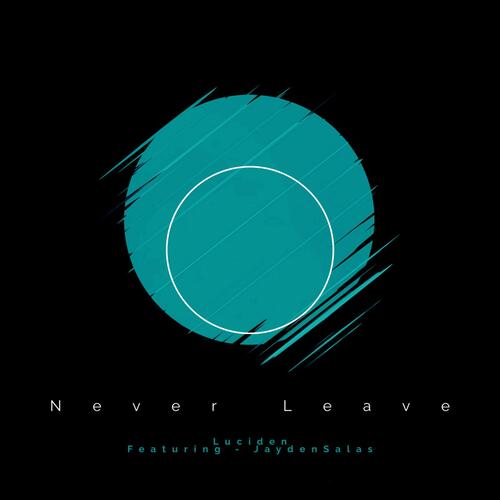 Never Leave (feat. Jayden Salas)_poster_image