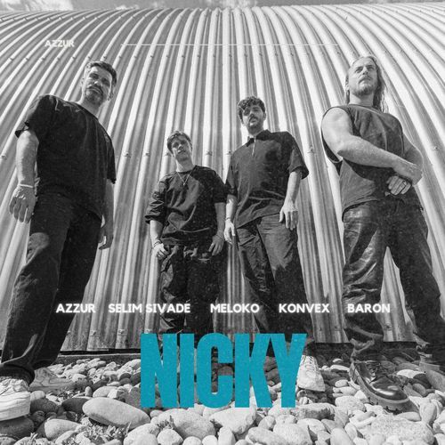 Nicky cover art