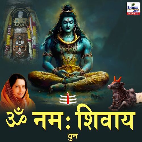 Om Namah Shivay