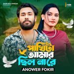 Pakhita Amar Chilo Nare