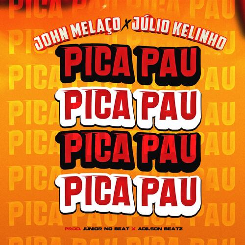 Pica Pau_poster_image