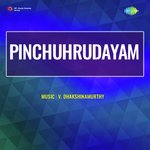 Pinchuhrudayam