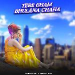 Tera Gham Bhulana Chaha