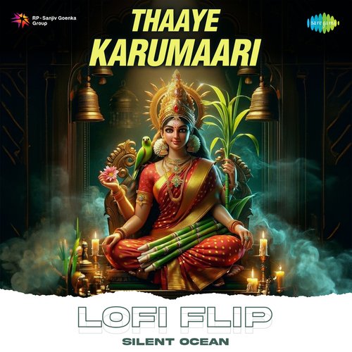 Thaaye Karumaari Lofi Flip