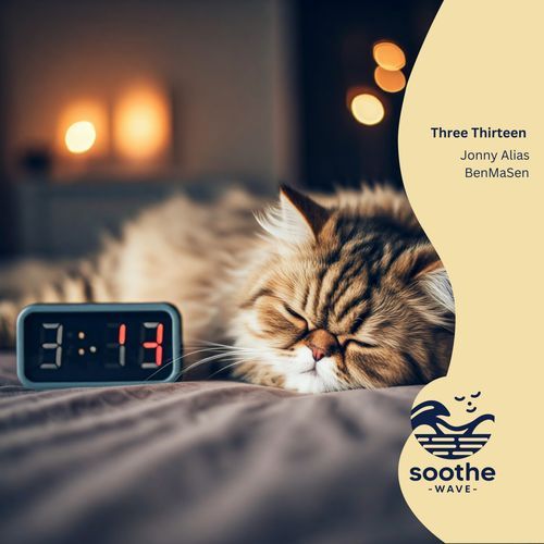 Three Thirteen cover art