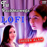 Tu Pachhtawega - LoFi