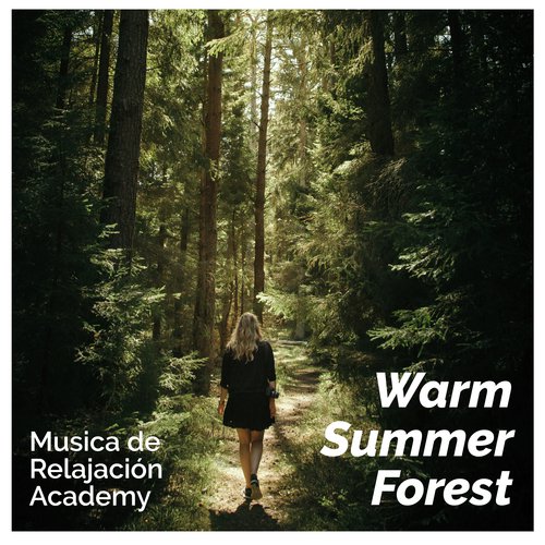 Warm Summer Forest