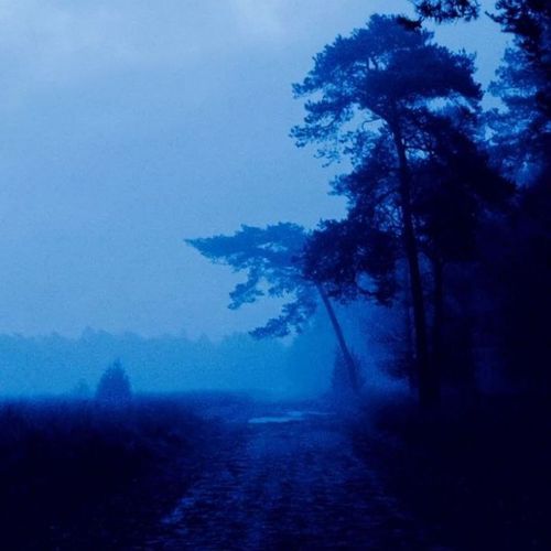 northern haze
