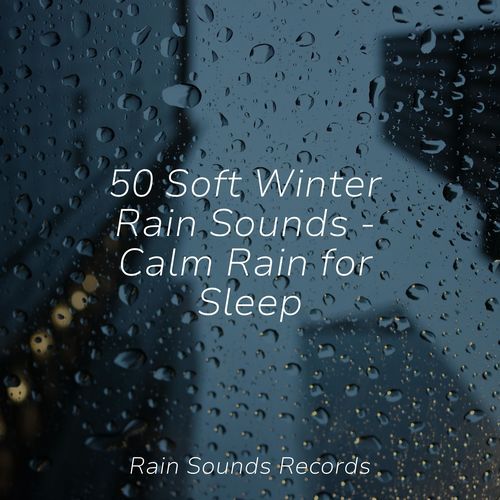 50 Soft Winter Rain Sounds - Calm Rain for Sleep