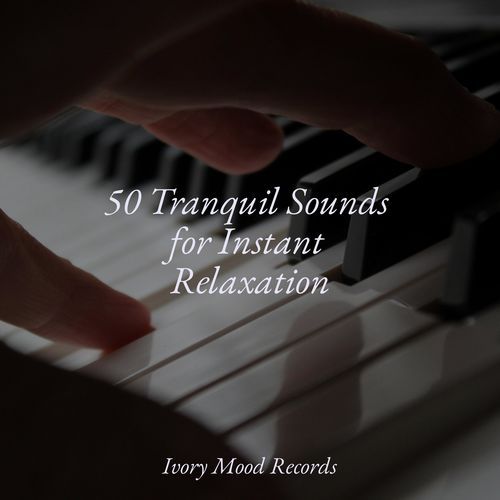 50 Tranquil Sounds for Instant Relaxation