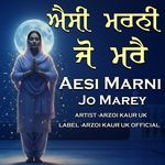 Aesi Marni Jo Marey