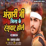 Ansari Ji Jila Ke Rangdar Hole