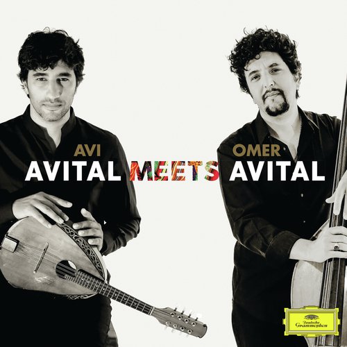 Avital Meets Avital_poster_image