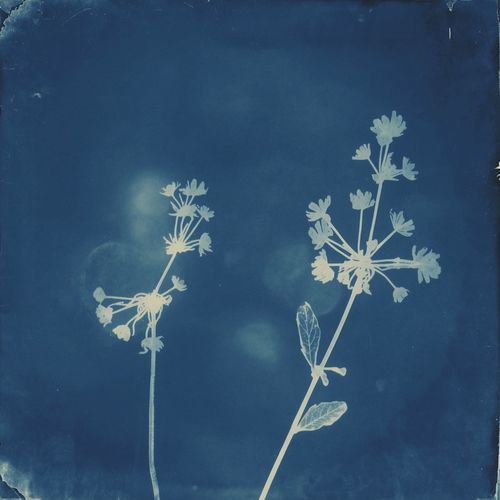 Blue soul