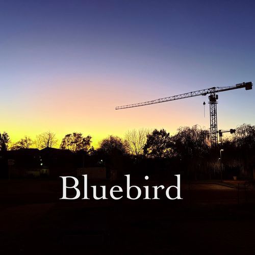 Bluebird